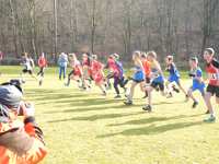 2014.03.02 - Bezirksmeisterschaften im Crosslauf-012